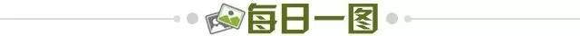 4120800f-931f-497f-923c-a5351d13c690.jpg@!img01